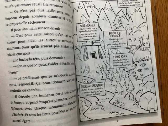 LIVRE ENFANT ADO JEUNESSE * CHRONIQUE DE L’OUTRE-TOMBE N°1 * in Children & Young Adult in Longueuil / South Shore - Image 3