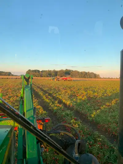 Farm Equipment Operator/ Farm Hand We have a full time position available for a Farm Equipment Opera...