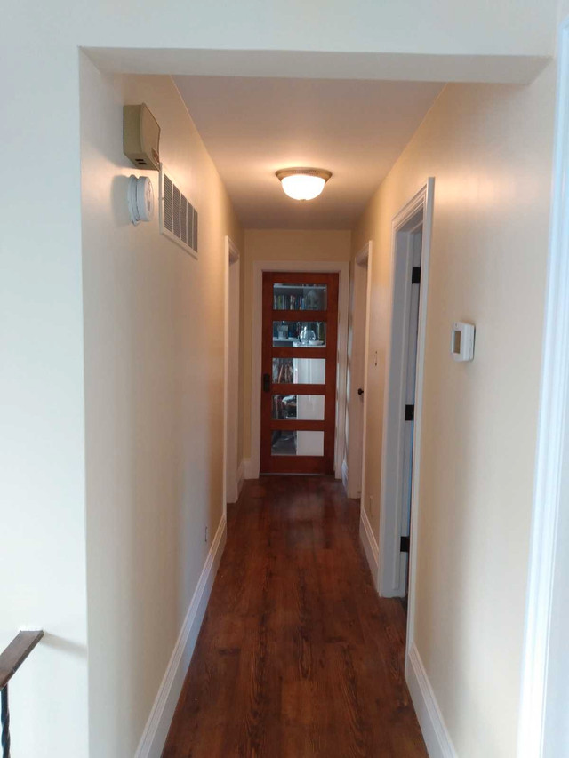 Professional Painter - Hamilton in Painters & Painting in Hamilton - Image 3