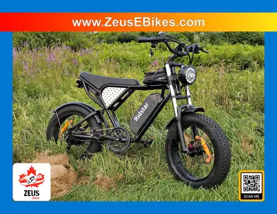 RIDSTAR Q20: Ultimate Mood Booster! ZeusEbikes.com, View more