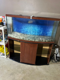 70 Gallon Bowfront w/Stand 