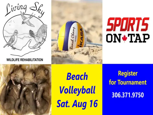 Beach Volleyball Tournament63611961344131121