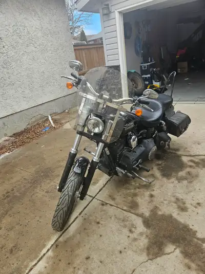 Nice Dyna Street Bob with stage one. New Commander tires. I'm little too big for this bike otherwise...