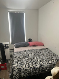 LOOKING FOR FEMALE TO SHARE TWO BDR APARTMENT 