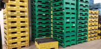PLASTIC COLLAPSIBLE BULK CONTAINERS, BULK BOXES,PALLET CONTAINER