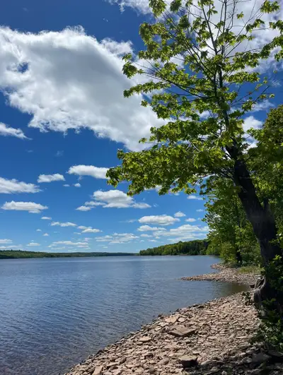 Availability: August 25-September 1 (3 night minimum stay) September 2-16 (2 night minimum stay) Sep...