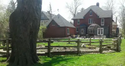Split Cedar Rail Fence builder, View more