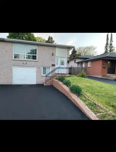 Basement for Rent