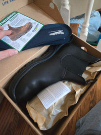 Brand New Blundstone 163 shoes