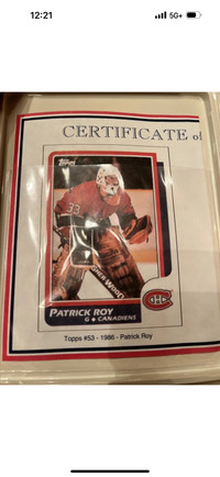 Patrick Roy bronze and silver Hockey cards