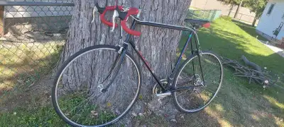 Bianchi strada lx 1989, View more
