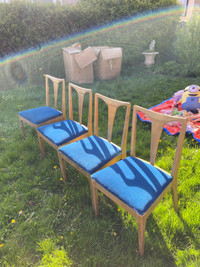 FREE Set of 4 wood & blue velvet chairs 