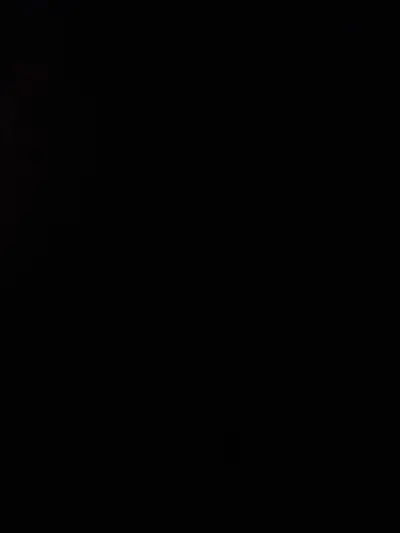 Airport Pickup and Drop-off Available, View more