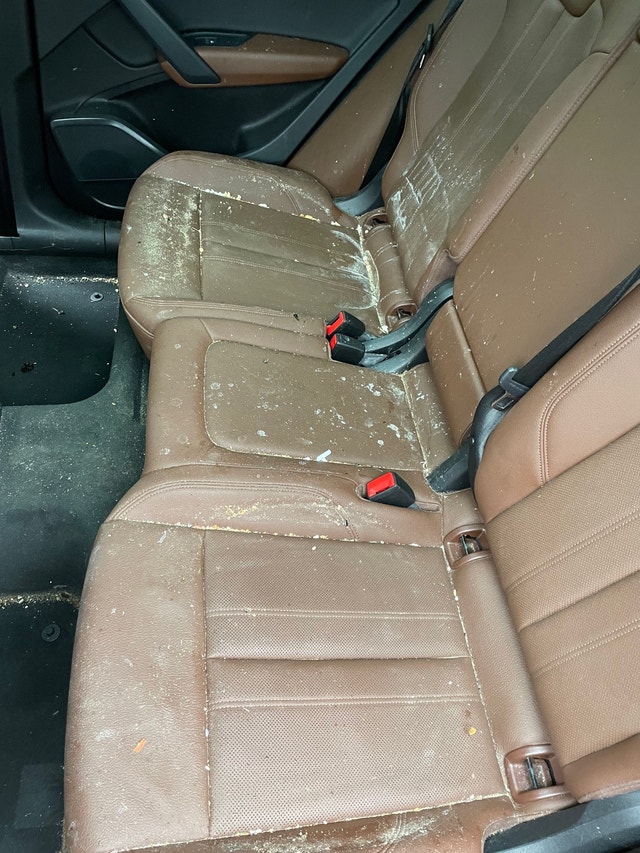 Car detailing Cleaners & Cleaning Ottawa Kijiji