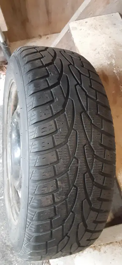 Fiour tires mounted on Steel Rims. $325.00 - Cash on pick up