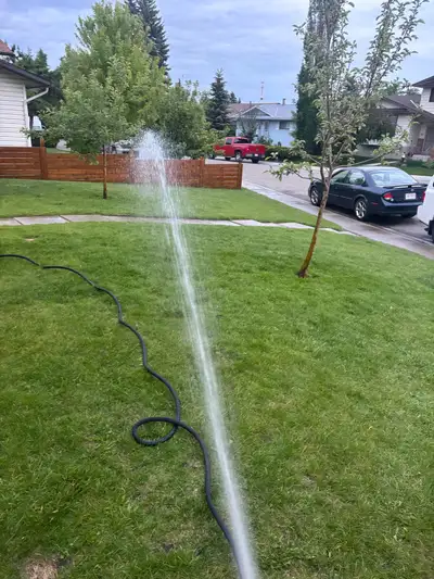 Grass cutting mowing :), View more