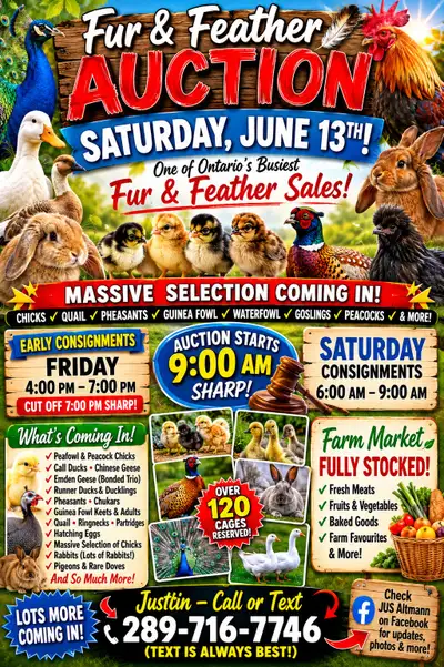 poultry auction every Saturday , View more