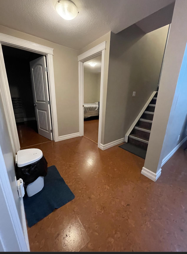 2 BEDROOM BASEMENT APARTMENT FOR RENT IN TIMBERLEA