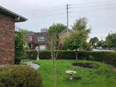 3 bedrooms house for rent
