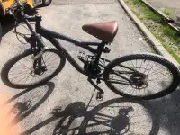 Schwinn bicycle 