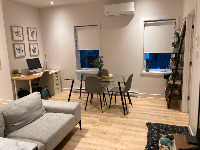 Condo 4 1/2 à louer - Hochelaga Maisonneuve