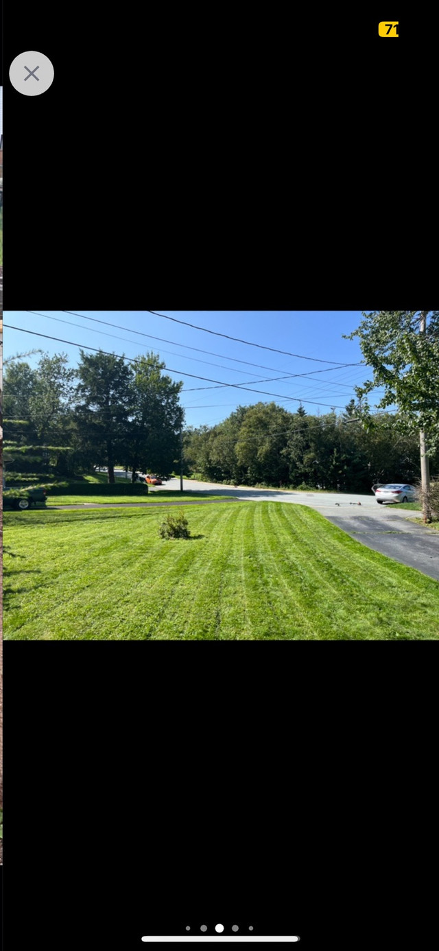 LANDSCAPING / LAWN MOWING SERVICES in Lawn, Tree Maintenance & Eavestrough in City of Halifax - Image 4