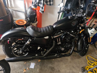 2019 Harley Davidson sportster 883