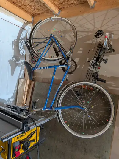 Vintage Sears Free Spirit bike, View more
