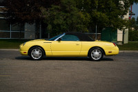 2002 Ford Thunderbird convertible.  Inspiration yellow.