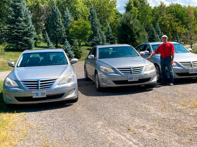 Certified 2013 Genesis Sedan Premium Package in Cars & Trucks in St. Catharines