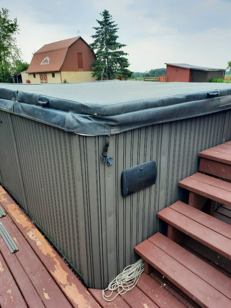 Dynasty swim spa Hot Tubs & Pools Kingston Kijiji