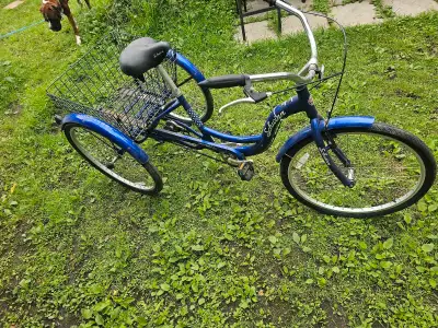 vélo 3 roue shwinn , View more