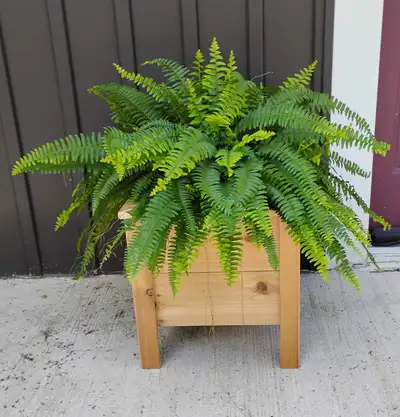Beautiful Cedar Planter Boxes, View more