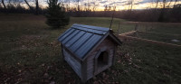 Dog house $100 44"x40" 
