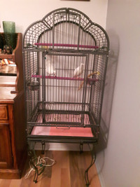 À vendre cage à perroquet.