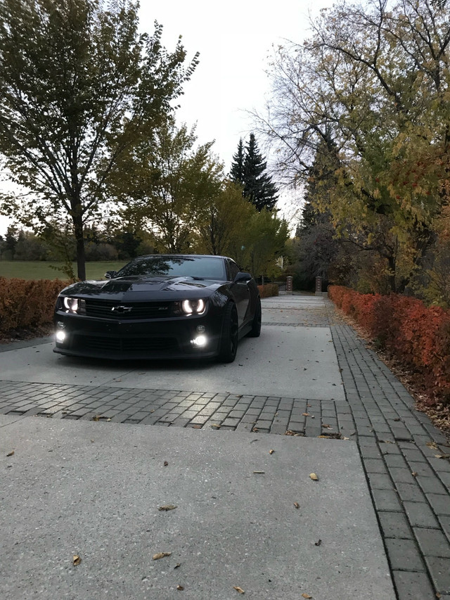 Trade for c6 Z06 in Cars & Trucks in Edmonton - Image 3