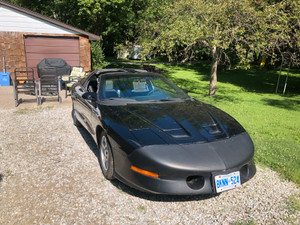 1997 Pontiac Firebird 3.8L