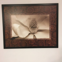 Flower picture frame / Tableau décoratif de fleur