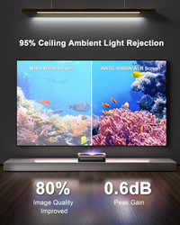 Ambient Light Rejecting (ALR) Projector Screen