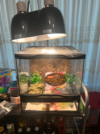 USED 3 WEEKS TERRARIUM FOR LIZARD TURTLE WITH LIGHTS!