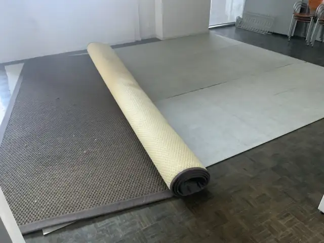 Very large Sisal Area Rug - elte 13’ x 15’ Lusi Natural in Rugs, Carpets & Runners in Ottawa - Image 10