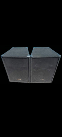 PA System - Community and Peavey
