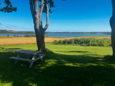 Beautifully restored 4bd 2bath farmhouse and watefront estate for rent. Fully furnished. On 100 acre...