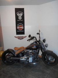 Harley Davidson Cross Bones