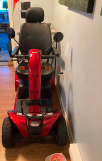 Full Size Scooter for sale