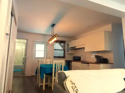 Très bel espace de vie, salon-cuisine aire ouverte, deux grandes chambres, beaucoup de rangement, ac...