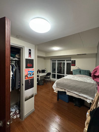 1 bedroom with ensuite bathroom (waterloo sublet, May-August)