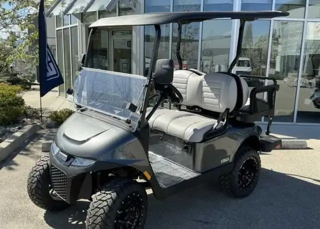 Golf Cart ezgo 2026 in Golf in Edmonton - Image 2