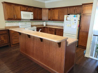 Kitchen cabinets & counter 