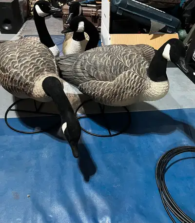 Full body 11x Goose Decoys, View more